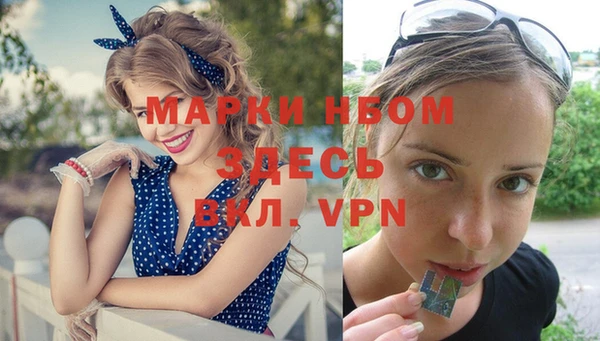 спиды Аркадак