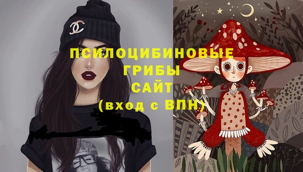 спиды Аркадак