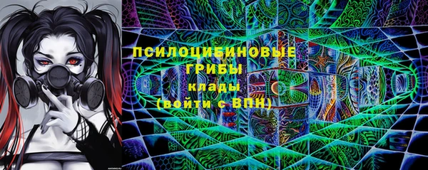 МДПВ Армянск