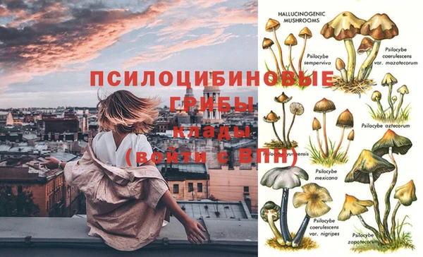 стафф Арсеньев