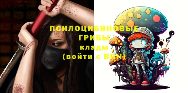 спиды Аркадак