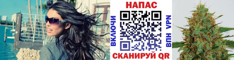 Шишки марихуана план  магазин продажи   Цивильск 